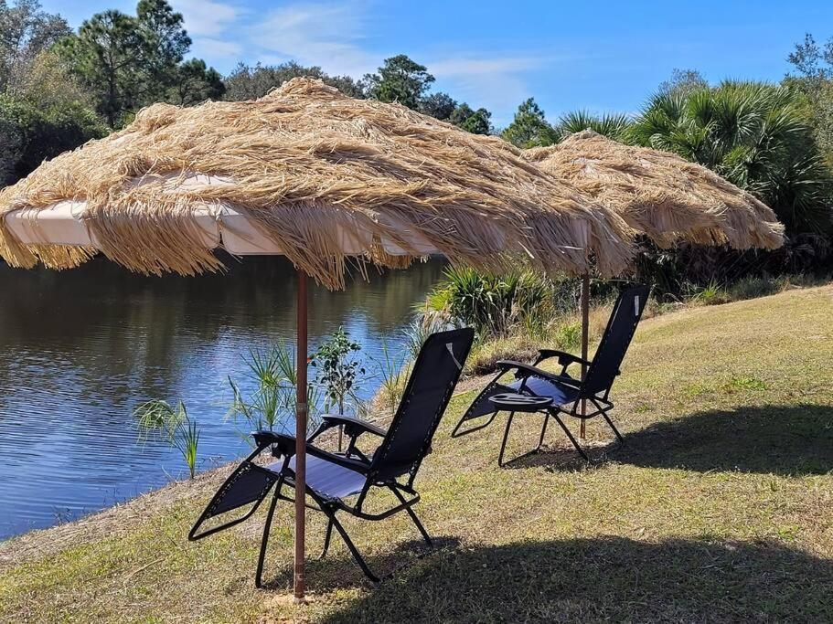 Steve And Cori's Tropical King 2 North Port